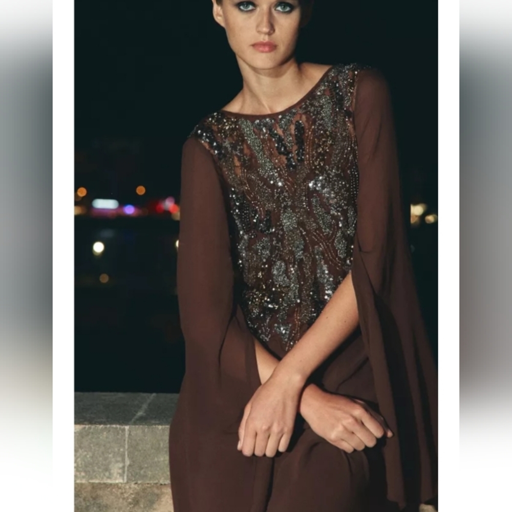 Zara Zw Collection Elegant Embroidered Sequens Brown Evening Formal Dress Sz-L